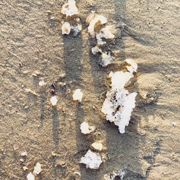 saule un kūstošs ledus