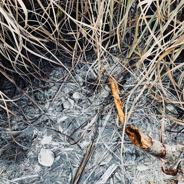 formas, krāsas, sajūtas, smaržas