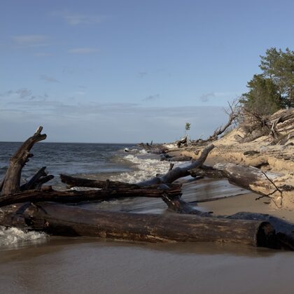 pludmale GAUJAS IETEKA JŪRĀ